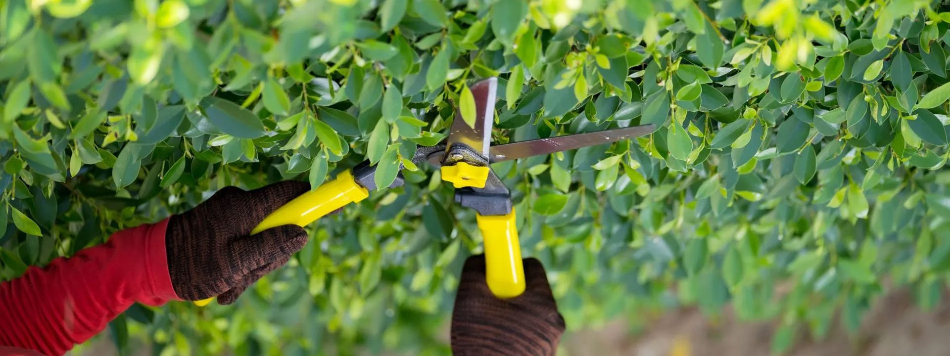 Entretien de jardin Chantraine