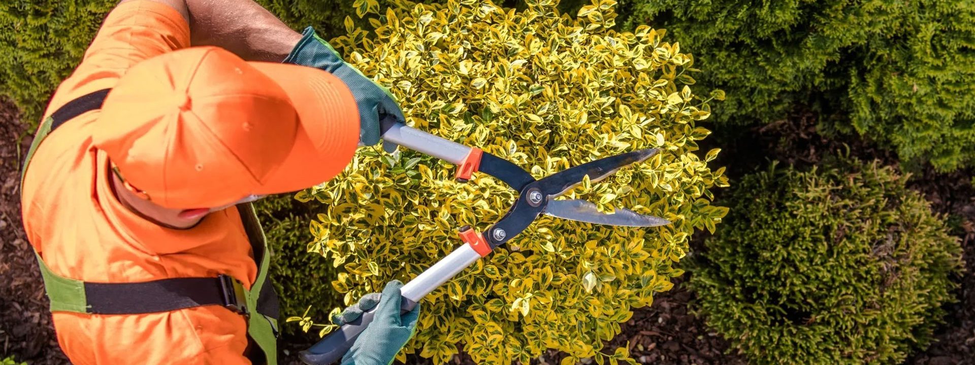 Entretien de jardin Épinal